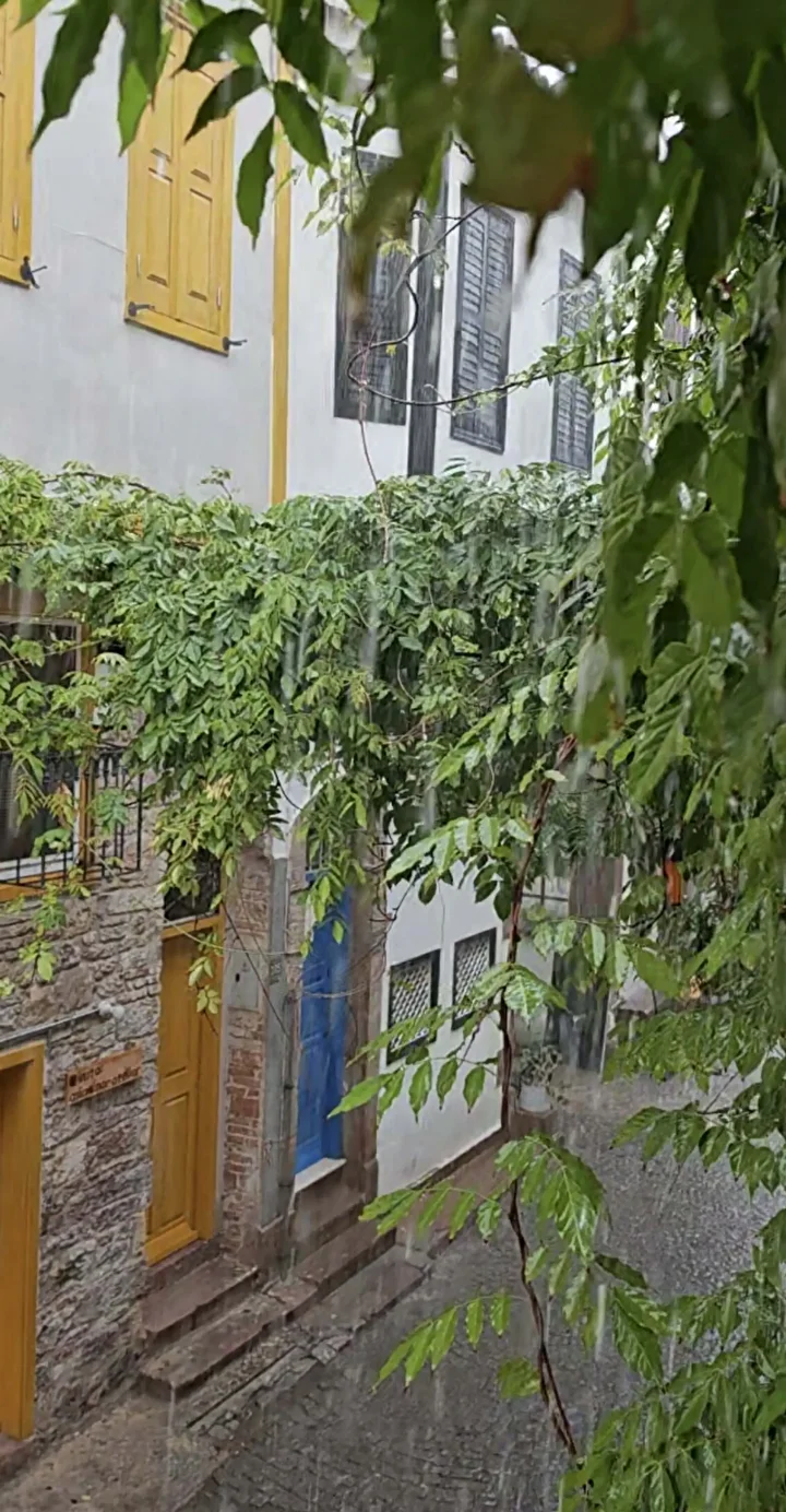 Ayvalık'ta sağanak tesirli oldu: Metrekareye 63,8 kilogram yağış düştü 3 ayvalikta saganak tesirli oldu metrekareye 638 kilogram yagis dustu 2
