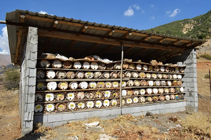 Babasının yaptığı kara kovan arıcılığını güçlü arazi şartlarında 35 yıldır sürdürüyor 3 babasinin yaptigi kara kovan ariciligini guclu arazi sartlarinda 35 yildir surduruyor 2 IF9etPe4