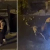 bahcelievlerde dehset pitbull cinsi kopek sahibine saldirdi IYqfbj3Z.webp
