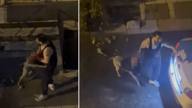 bahcelievlerde dehset pitbull cinsi kopek sahibine saldirdi IYqfbj3Z.webp