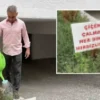 bahcesinden daima cicek calinan apartmanin yoneticisinden farkli ikaz uhtUl9TR.webp