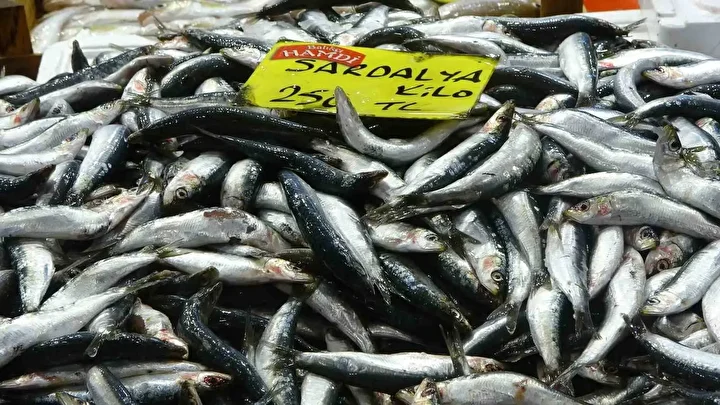 balikcilar mustuyu verdi fiyatlarda yari yariya dusus basladi bol bol balik yiyin 2 3mEUsZGP