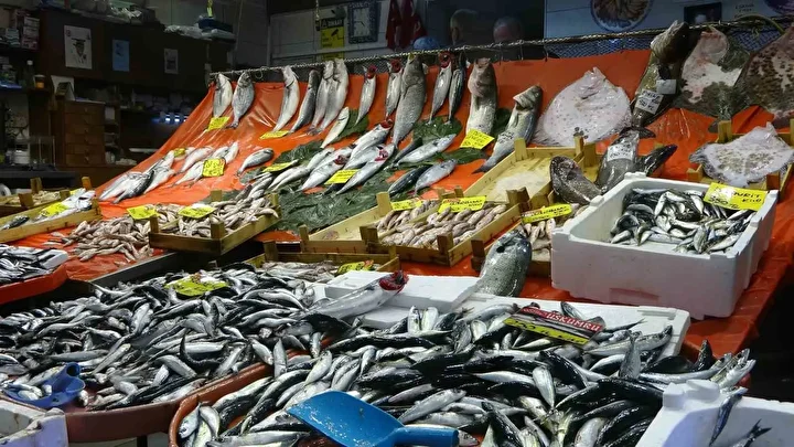 balikcilar mustuyu verdi fiyatlarda yari yariya dusus basladi bol bol balik yiyin 4 NmDAvD1e