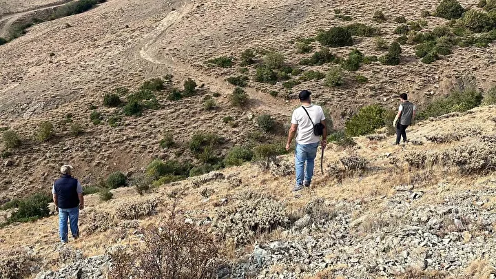 bayburtta annesini kaybeden yavru ayi koyu alarma gecirdi 4