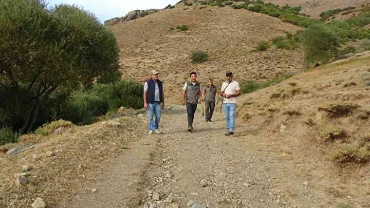 bayburtta annesini kaybeden yavru ayi koyu alarma gecirdi 6 rWjBsXJU