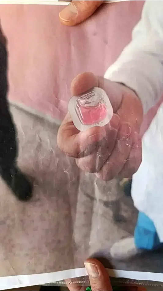 bir vilayette panik havadan sokaklara birakildi kapi kapi gezip tehlikeye dikkat cekildi 0 jaOJ17yI
