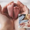 dogum musaadeleri esasli formda yine duzenleniyor calisan anne baba adaylari mujde sZ7emg6T.webp