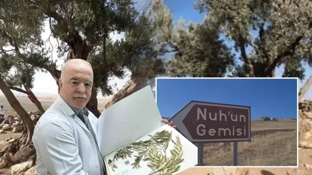Dünya tarihini değiştirecek tez: Nuh’un Gemisi’nin sırrı çözülüyor dunya tarihini degistirecek tez nuhun gemisinin sirri cozuluyor rzQ8bA3u.webp