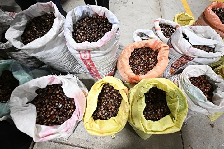 Düzce'de kestane mezatı açıldı 12 duzcede kestane mezati acildi 11 nOuCRNZB