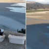 Bu meskenler tek bir kumanda ile 360 derece dönüyor: Trabzon’da yapıldı egirdir golunde tarihi kuraklik buzul cagindan bu yana birinci kere ikiye bolundu 61xyKrvv.webp
