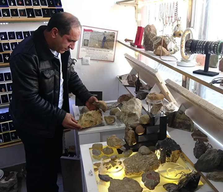 erzurumda bulundu 200 milyon yil oncesine ait dogudan batiya 80 km kuzeyden guneye 200 lbMRyQKZ