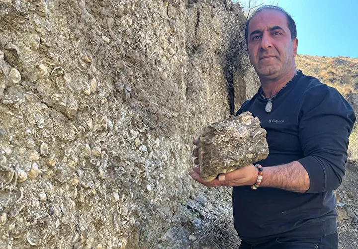 erzurumda bulundu 200 milyon yil oncesine ait dogudan batiya 80 km kuzeyden guneye 200 sK7TqrDq