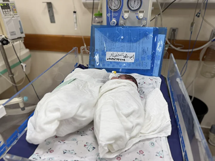gazzede premature bebekler aksa sehitleri hastanesine nakledildi 10 EM7rhD5j
