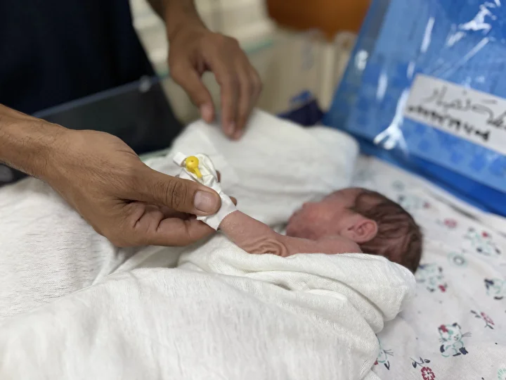 gazzede premature bebekler aksa sehitleri hastanesine nakledildi 20 OKHdXG9m