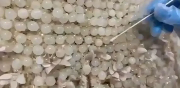gelinlige islenmis 25 kilogram uyusturucu ele gecirildi 1 eeLmSqQl