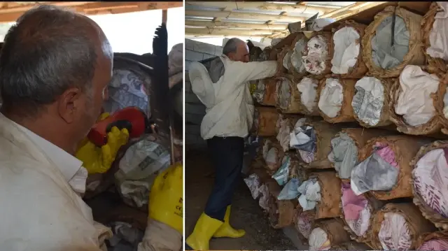 guclu arazi sartlarinda 35 yildir bu isi yapiyor kilosu 2 bin lira T2gmBJpI.webp