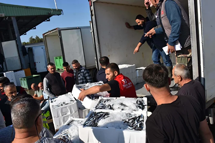 hamsiye yurt ici ve yurt disindan gelen agir talebe yetisilemiyor 5 QYADKffb