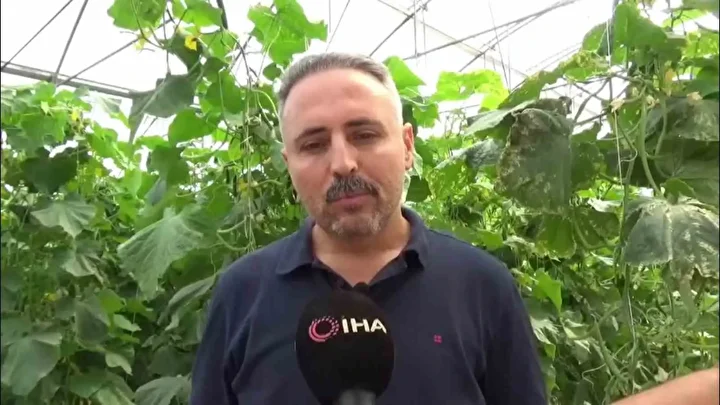 ilcede eksikligi gorup sera kurdu 20 ailenin ekmek kapisi oldu 0 SbmN19iz