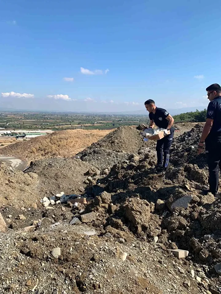 insan sihhatini hice saydilar manisada 49 kilo bozuk peynir imha edildi 2