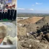 insan sihhatini hice saydilar manisada 49 kilo bozuk peynir imha edildi 6HprPl2i.webp