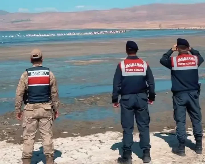 jandarma gruplari onlar icin ercek golunde nobet tutuyor 0 NXlePDa7