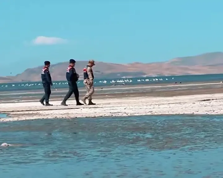 jandarma gruplari onlar icin ercek golunde nobet tutuyor 3 s7PhXfhc