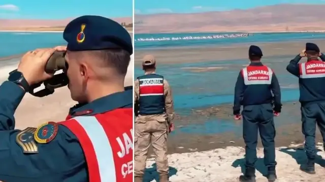 jandarma gruplari onlar icin ercek golunde nobet tutuyor BLlRiVcf.webp