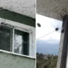 kabus turkiyeye geri dondu iki bolgeyi istila etti bina adeta renk degisti jUPJ41z9.webp