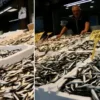 kilosu 100 liraya dustu bu yil donemi erken acildi OjAYKN3v.webp