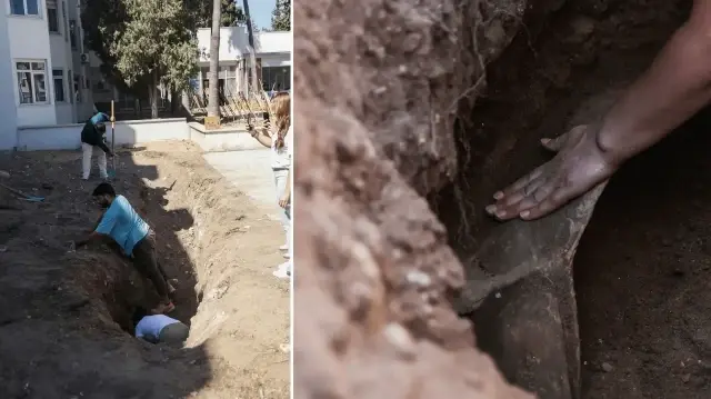 Kıyıya vurduktan sonra üniversite yerleşkesinin bahçesine gömülmüştü: 14 metrelik iskelet ‘askıya’ alınıp sergilenecek kiyiya vurduktan sonra universite yerleskesinin bahcesine gomulmustu 14 metrelik iskelet askiya alinip sergilenecek s62Uj93O.webp