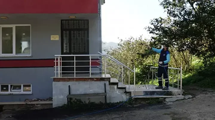 kokarca alarmi vatandaslar kabusu yasiyor 15 NLjare5p