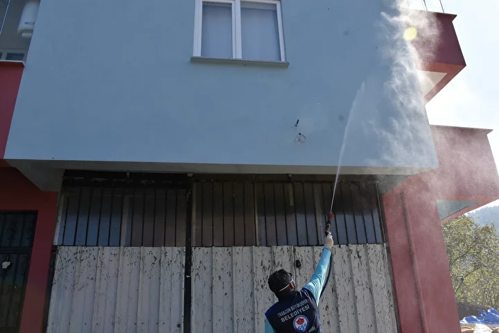 kokarca alarmi vatandaslar kabusu yasiyor 17 LXKDPeYS