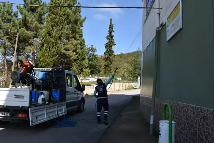 kokarca alarmi vatandaslar kabusu yasiyor 6 5GwWfjuh