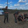 kus kacakcisina sucustu 247 latife kusu ozgurlugune kavustu 61I6I8MQ.jpg