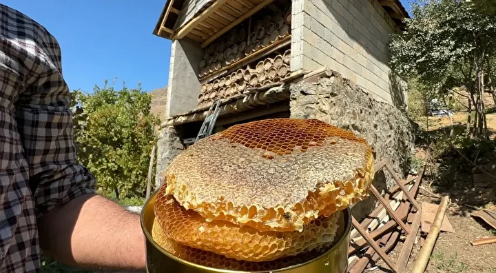 lisanlara destan hakkari balinda hasat basladi el degmiyor seker katilmiyor 1 XjSiErad