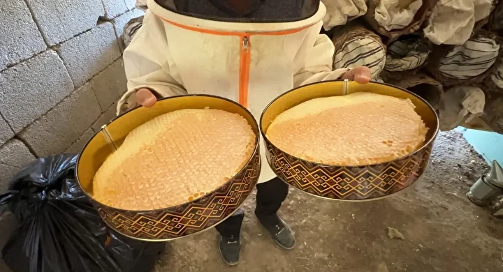 lisanlara destan hakkari balinda hasat basladi el degmiyor seker katilmiyor 2 UdZvAOvU