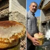 Tümer Metin’den bomba Edin Dzeko argümanı lisanlara destan hakkari balinda hasat basladi el degmiyor seker katilmiyor Q7gIx5ex.webp