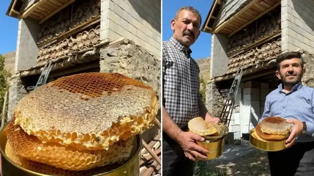 lisanlara destan hakkari balinda hasat basladi el degmiyor seker katilmiyor Q7gIx5ex.webp
