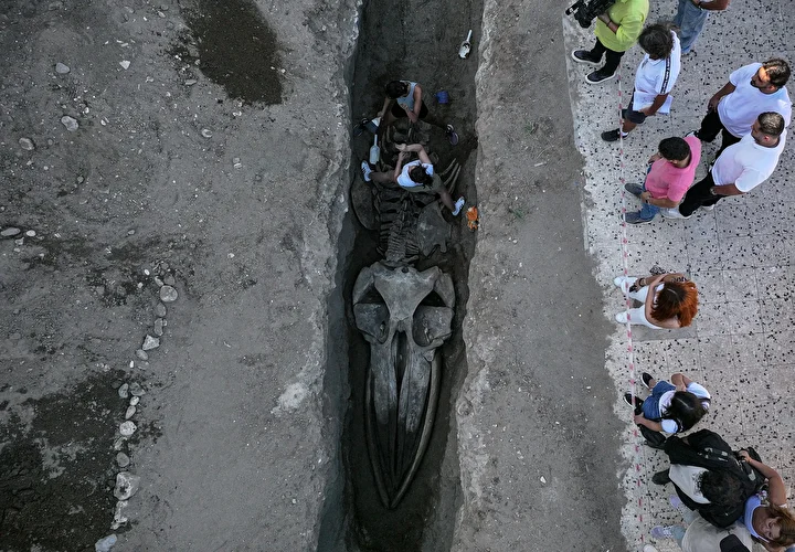 mersinde 4 yil evvel gomulmustu uzunlugu tam 14 metre fin balinasinin iskeleti topraktan cikariliyor 77XEYymF