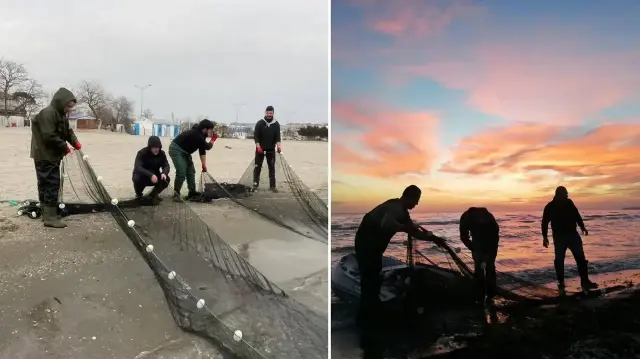 ‘Müsilajın balıkların üreme sistemine direkt tesiri yok’: Tabandaki mercan, pina, midye ve alglere ziyanı oldu musilajin baliklarin ureme sistemine direkt tesiri yok tabandaki mercan pina midye ve alglere ziyani WxULrE7l.webp