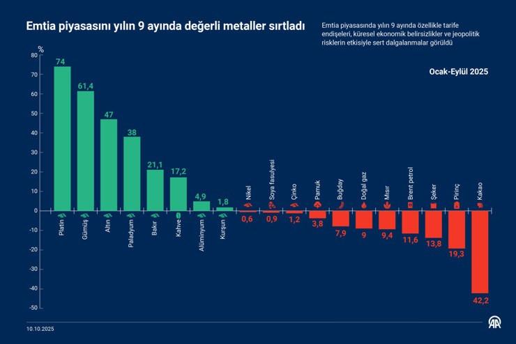 Ne altın ne gümüş... Bu yıl yüzde 74 kazandırdı 2 ne altin ne gumus bu yil yuzde 74 kazandirdi 1 CCr3KabP