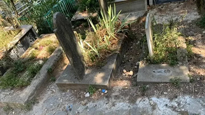 oluleri de rahat birakmiyorlar mezarliktan cikanlar soke etti bayan figurleri kasiklar kuzu kafalari 4 nky7cIN8