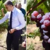 osmancik karasi tescillendi evliya celebi ovguyle bahsetmisti Sc43FFRu.webp