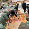 saros korfezinde denize acilan balikcilarin aglari kefal ile doldu 1kK7mmPI.webp