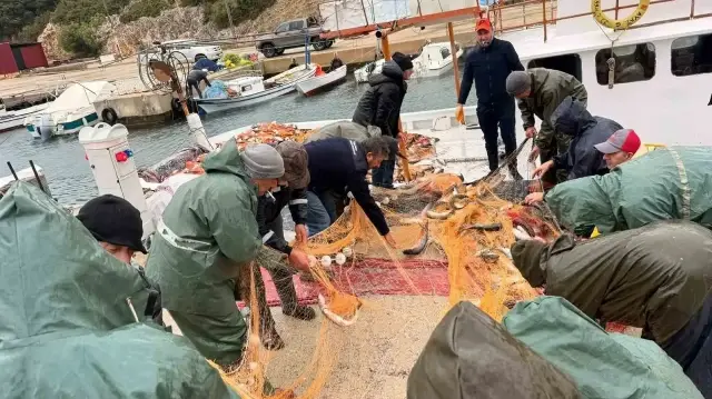 saros korfezinde denize acilan balikcilarin aglari kefal ile doldu 1kK7mmPI.webp