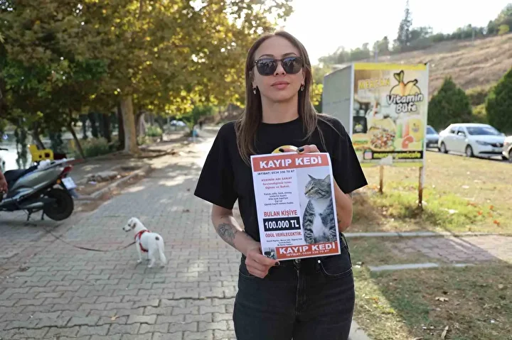 Tekir cinsi kedisi taşıma çantasından kaçtı: Bulana 100 bin lira ödül verecek 3 tekir cinsi kedisi tasima cantasindan kacti bulana 100 bin lira odul verecek 2 Gpe6mGeH