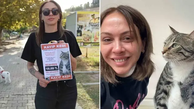 Tekir cinsi kedisi taşıma çantasından kaçtı: Bulana 100 bin lira ödül verecek tekir cinsi kedisi tasima cantasindan kacti bulana 100 bin lira odul verecek QYjSPz2h.webp