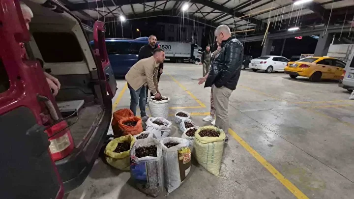 Tescilli lezzet pazara indi: Düzce’nin coğrafik işaretli 'kuzu kestanesi' tezgahlardaki yerini aldı 1 tescilli lezzet pazara indi duzcenin cografik isaretli kuzu kestanesi tezgahlardaki yerini aldi 0