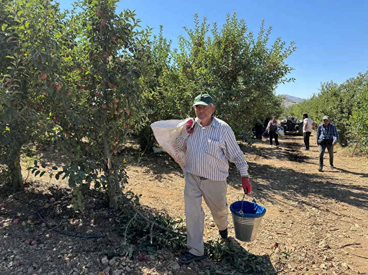 Tescilli meyvede hasat başladı: Avrupalılar kapış kapış alıyor 800 bin ton rekolte bekleniyor 4 tescilli meyvede hasat basladi avrupalilar kapis kapis aliyor 800 bin ton rekolte bekleniyor 3 w31RVa3Z