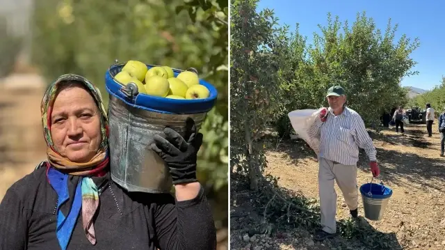 Tescilli meyvede hasat başladı: Avrupalılar kapış kapış alıyor 800 bin ton rekolte bekleniyor tescilli meyvede hasat basladi avrupalilar kapis kapis aliyor 800 bin ton rekolte bekleniyor fPCQQ7fQ.webp